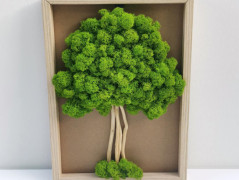 Miska plněná stabilizovaným mechem