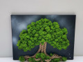 Mechový obraz, 30x40