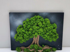 Miska plněná stabilizovaným mechem