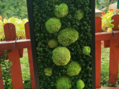 Miska plněná stabilizovaným mechem