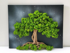 Miska plněná stabilizovaným mechem