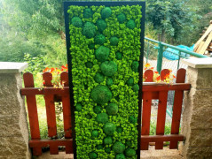 Miska plněná stabilizovaným mechem