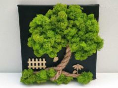 Miska plněná stabilizovaným mechem