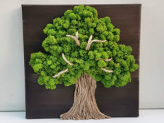 Mechové hodiny 50 cm