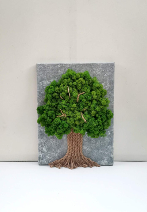 Mechový obraz, strom, 30x40 obraz mech strom života mechový obraz mechová dekorace mechový strom 