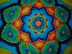 Batik.tričko  - Moře kvete