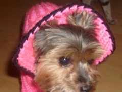 HÁČKOVANÉ KYTIČKY