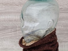 slintáček ježek fialový