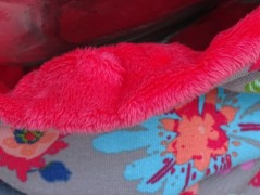 slintáček ježek fialový