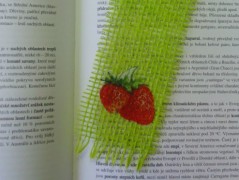 slintáček ježek fialový