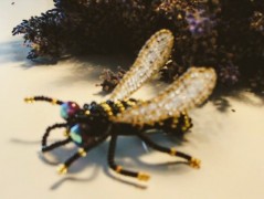 10 000 stehů-na drobnosti, doklady