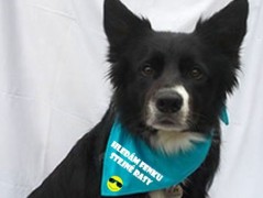 Člověče nezlob se - Hasiči modří