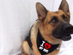 Člověče nezlob se - Hasiči modří