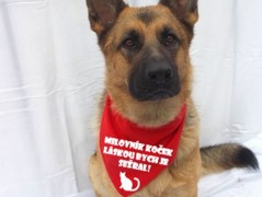 Člověče nezlob se - Hasiči modří