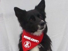 Člověče nezlob se - Hasiči modří