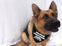 Člověče nezlob se - Hasiči modří