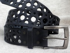 Ještěrka na žlutém opasku