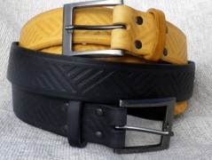 Ještěrka na žlutém opasku