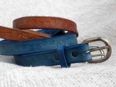 Ještěrka na žlutém opasku