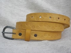 Ještěrka na žlutém opasku