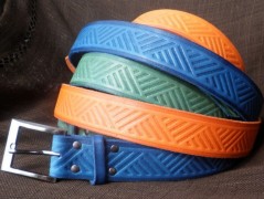 Ještěrka na žlutém opasku