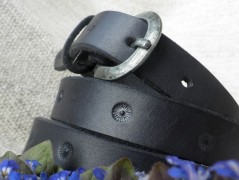 Ještěrka na žlutém opasku