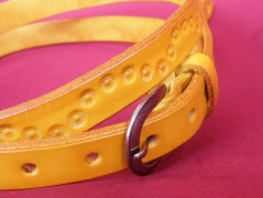 Ještěrka na žlutém opasku