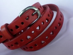 Ještěrka na žlutém opasku