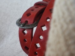 Ještěrka na žlutém opasku