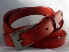 Ještěrka na žlutém opasku