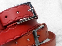 Ještěrka na žlutém opasku