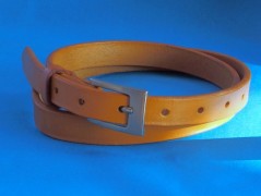 Ještěrka na žlutém opasku