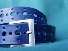 Ještěrka na žlutém opasku