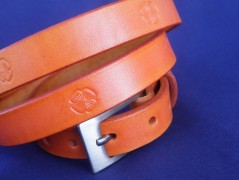 Ještěrka na žlutém opasku