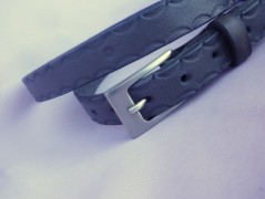 Ještěrka na žlutém opasku