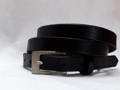 Ještěrka na žlutém opasku