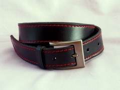 Ještěrka na žlutém opasku