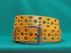 Ještěrka na žlutém opasku