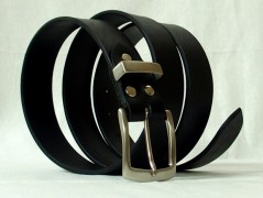 Ještěrka na žlutém opasku