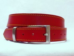 Ještěrka na žlutém opasku