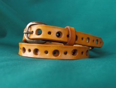 Ještěrka na žlutém opasku