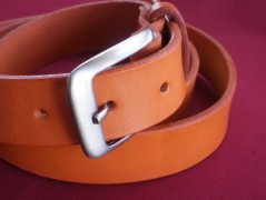 Ještěrka na žlutém opasku