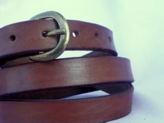 Ještěrka na žlutém opasku