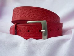 Ještěrka na žlutém opasku