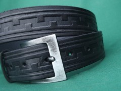 Ještěrka na žlutém opasku