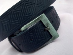 Ještěrka na žlutém opasku