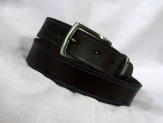 Ještěrka na žlutém opasku