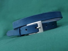 Ještěrka na žlutém opasku