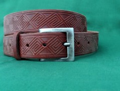 Ještěrka na žlutém opasku