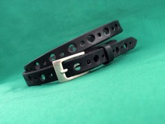 Ještěrka na žlutém opasku